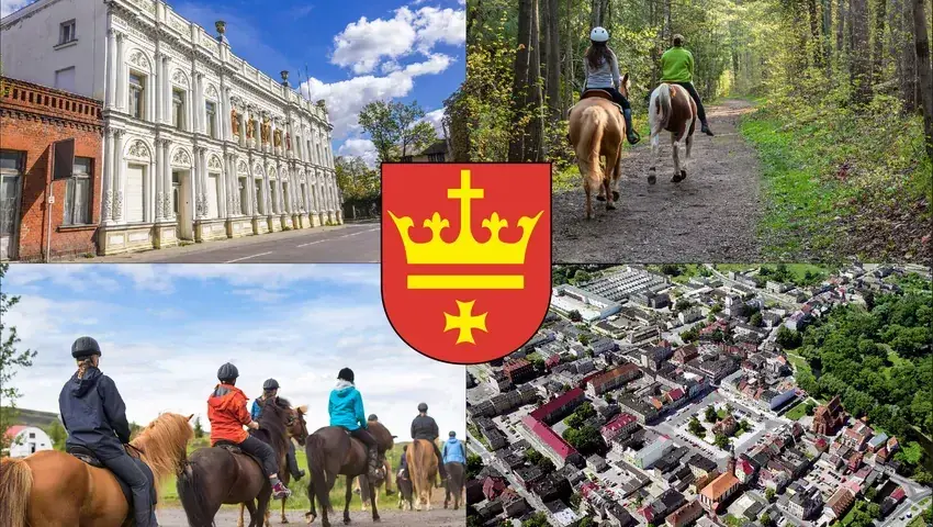 Stadniny koni Starogard Gdański: Jak wybrać i ile to kosztuje?