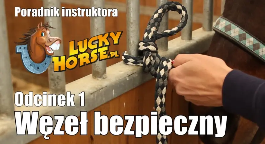 Jak zrobić lizawkę dla konia? Bezpieczny przepis krok po kroku