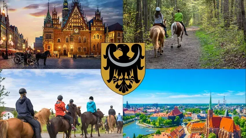 Wrocław: Jeździectwo naturalne stajnie, kursy, ceny. Co warto wiedzieć?