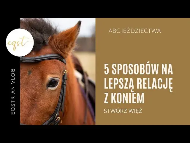 Koń Cię wybrał? Odkryj, jak budować zaufanie i głęboką więź
