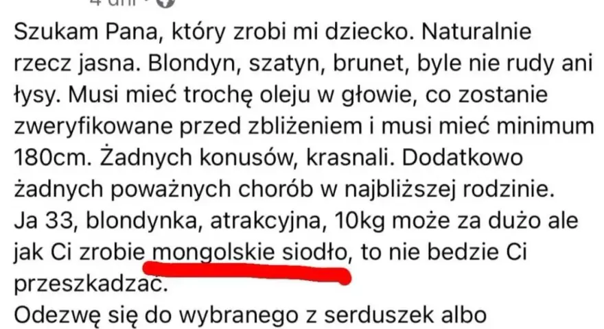 Co to jest mongolskie siodło? Niezwykła historia i budowa