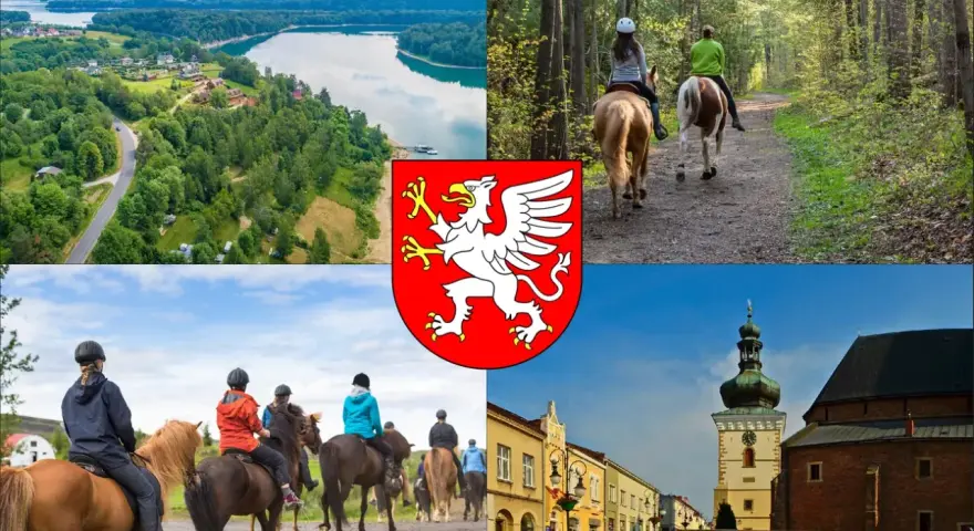 Jazda konna Dębica: Gdzie, ile, dla kogo? Pełny przewodnik