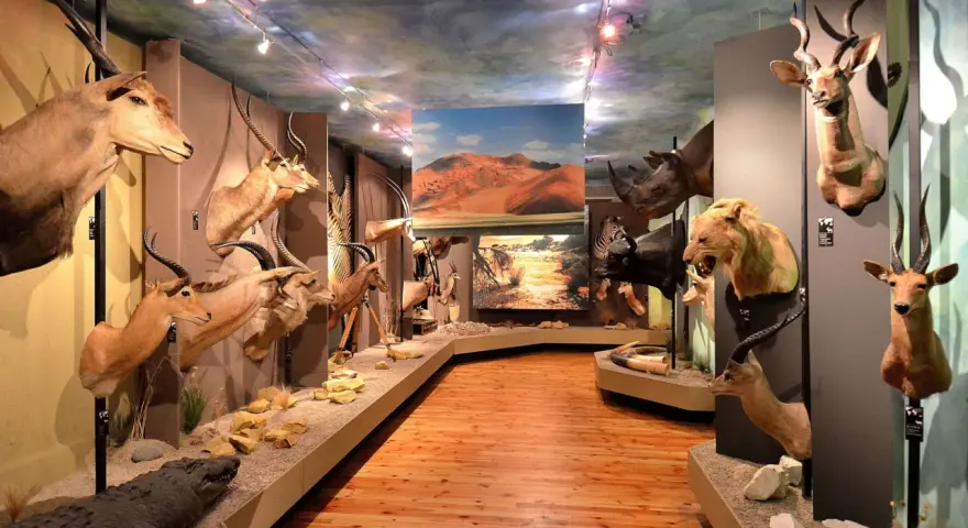 Muzeum Łowiectwa i Jeździectwa Warszawa: Odkryj sekrety Łazienek