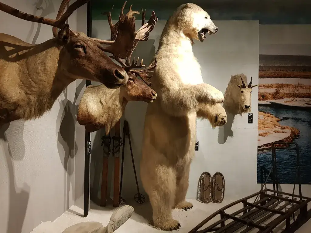 Muzeum Łowiectwa i Jeździectwa wystawa Las dioramy zwierząt