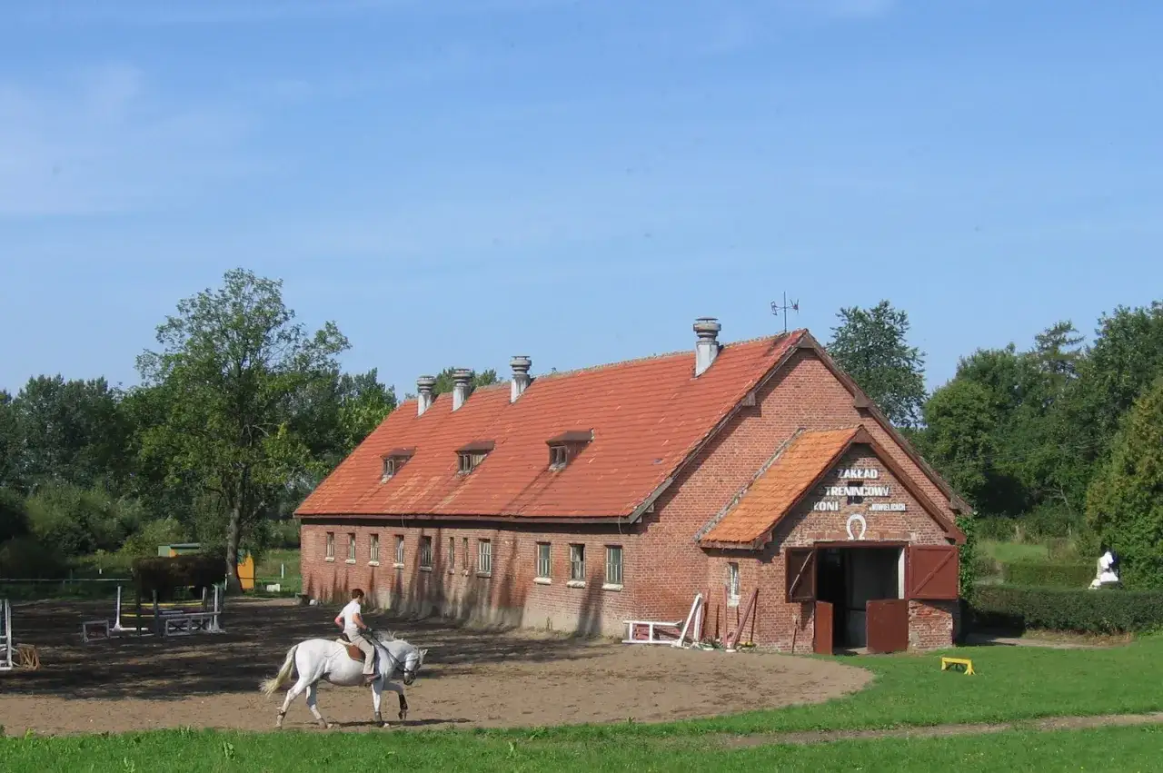 różne typy stadnin koni