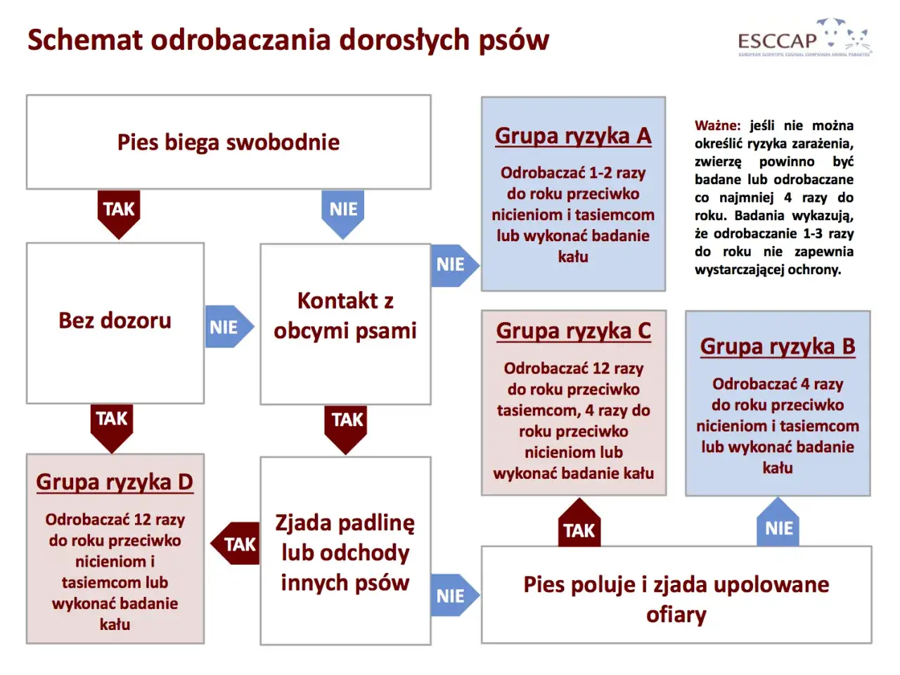 szczeniak odrobaczanie harmonogram
