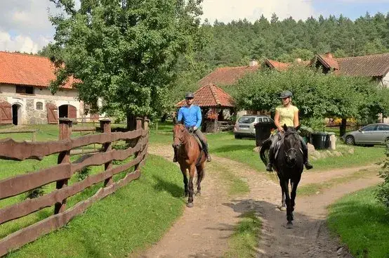 Agroturystyka z końmi Mazury