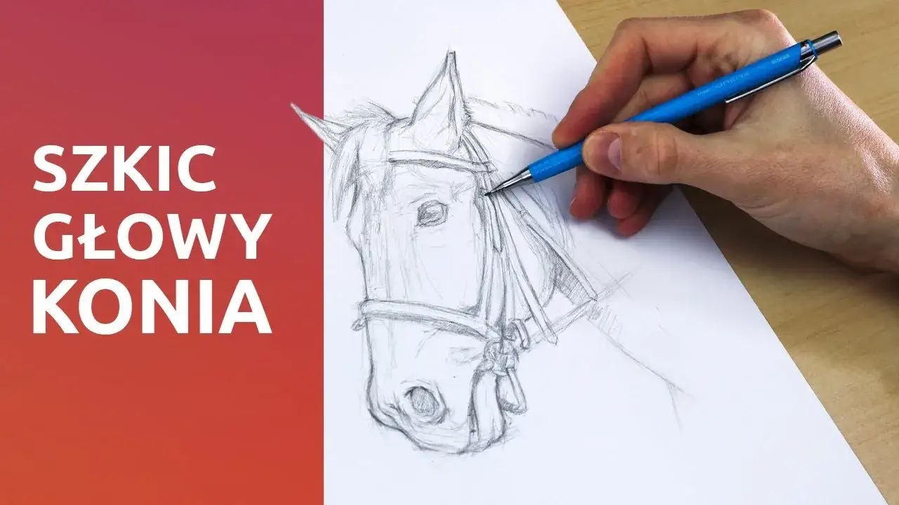 rysowanie głowy konia krok po kroku szkic